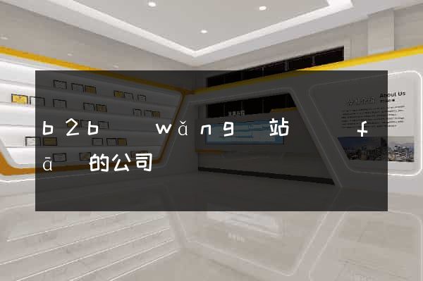 b2b網(wǎng)站開發(fā)的公司