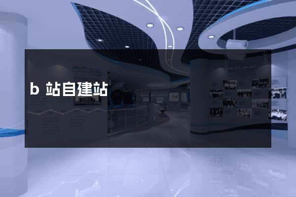 b站自建站