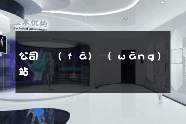 公司開發(fā)網(wǎng)站