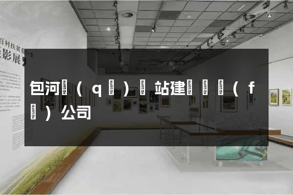 包河區(qū)網站建設開發(fā)公司