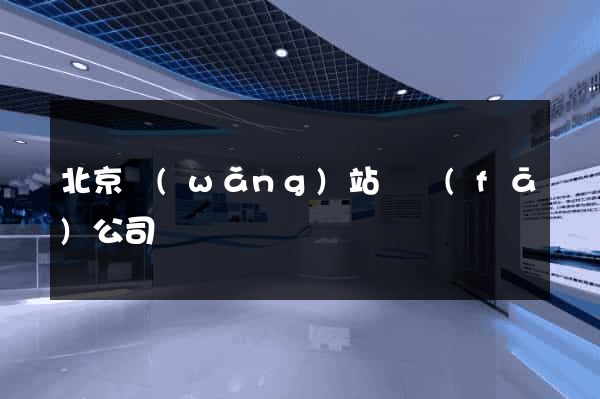 北京網(wǎng)站開發(fā)公司