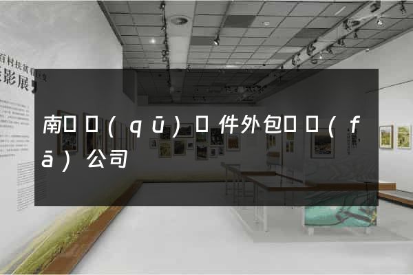 南匯區(qū)軟件外包開發(fā)公司