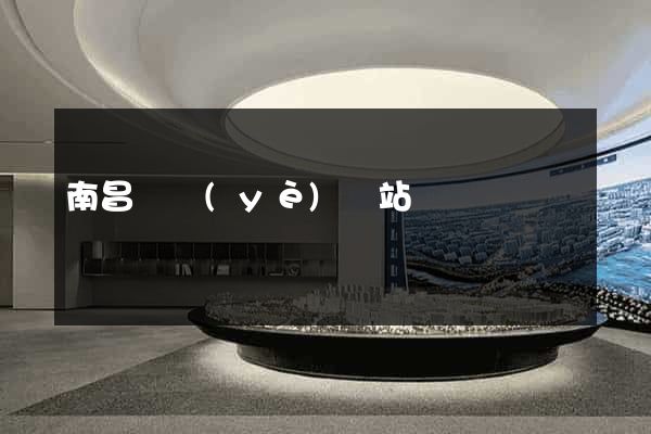 南昌專業(yè)網站設計