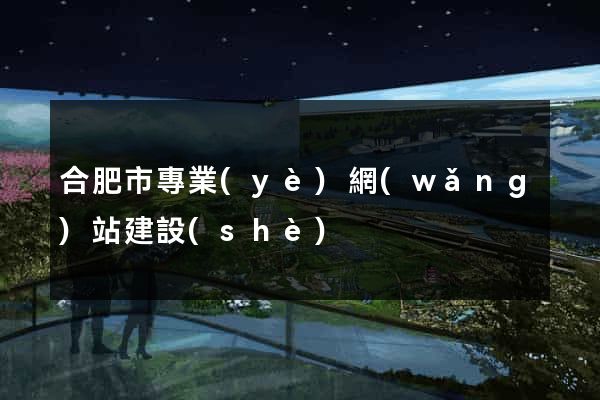 合肥市專業(yè)網(wǎng)站建設(shè)