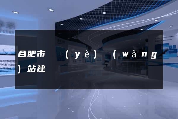 合肥市專業(yè)網(wǎng)站建設