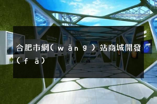 合肥市網(wǎng)站商城開發(fā)