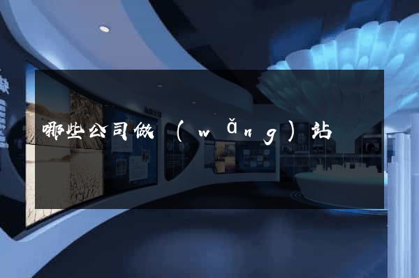 哪些公司做網(wǎng)站