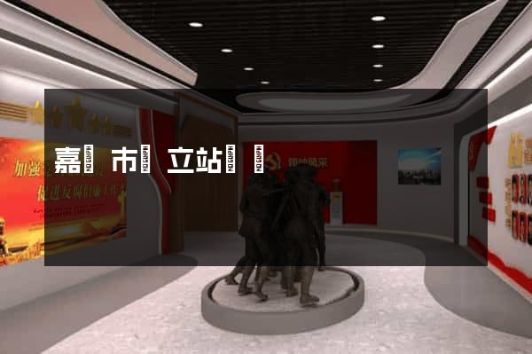 嘉興市獨立站運營