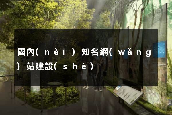 國內(nèi)知名網(wǎng)站建設(shè)