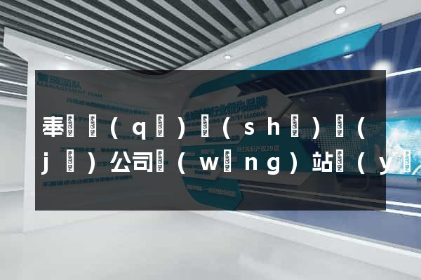奉賢區(qū)設(shè)計(jì)公司網(wǎng)站優(yōu)化