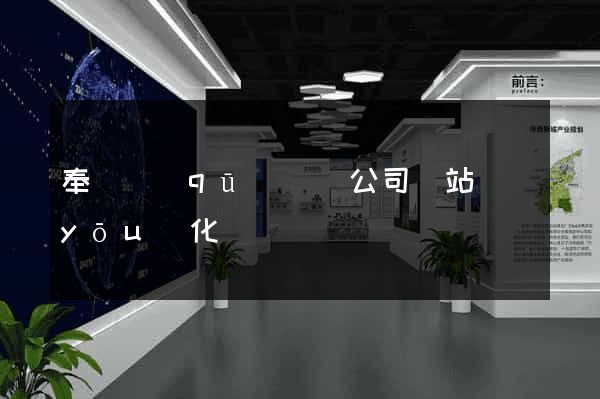 奉賢區(qū)設計公司網站優(yōu)化