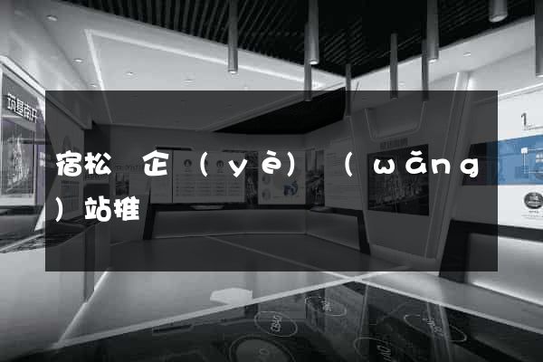 宿松縣企業(yè)網(wǎng)站推廣
