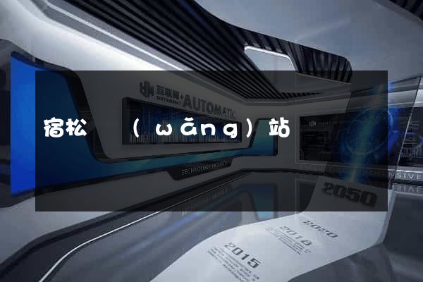 宿松縣網(wǎng)站營銷