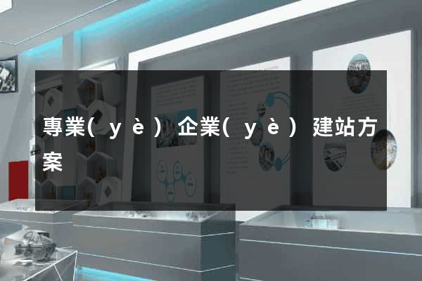 專業(yè)企業(yè)建站方案