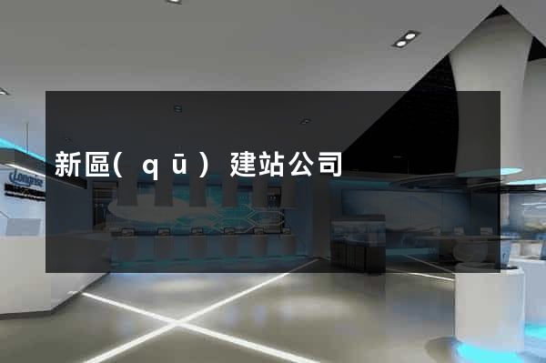 新區(qū)建站公司