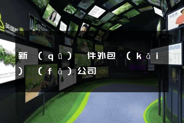 新區(qū)軟件外包開(kāi)發(fā)公司