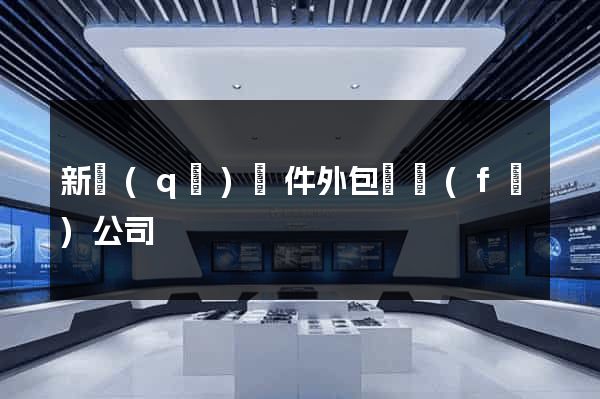 新區(qū)軟件外包開發(fā)公司