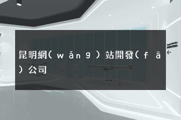 昆明網(wǎng)站開發(fā)公司