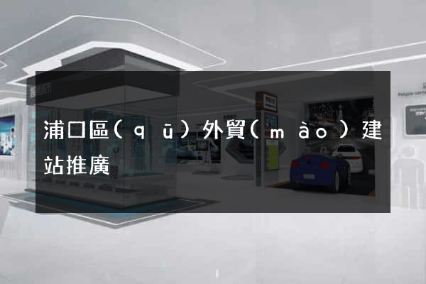 浦口區(qū)外貿(mào)建站推廣