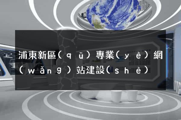 浦東新區(qū)專業(yè)網(wǎng)站建設(shè)