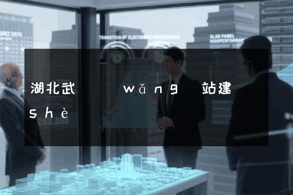 湖北武漢網(wǎng)站建設(shè)