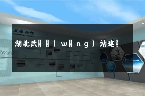 湖北武漢網(wǎng)站建設