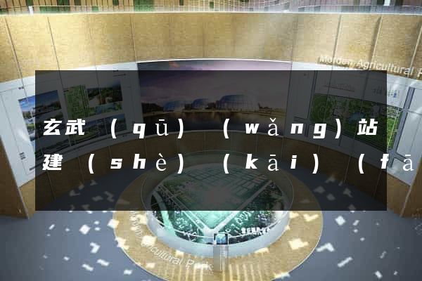 玄武區(qū)網(wǎng)站建設(shè)開(kāi)發(fā)公司