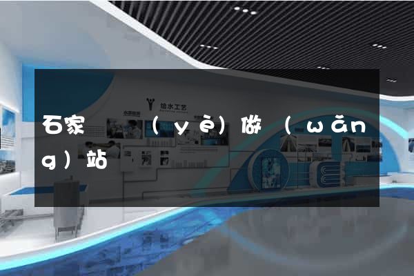 石家莊專業(yè)做網(wǎng)站