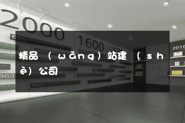 精品網(wǎng)站建設(shè)公司