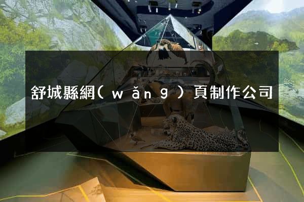 舒城縣網(wǎng)頁制作公司