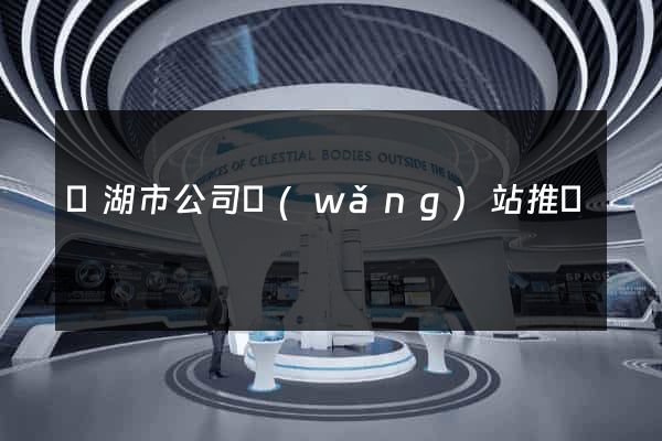 蕪湖市公司網(wǎng)站推廣