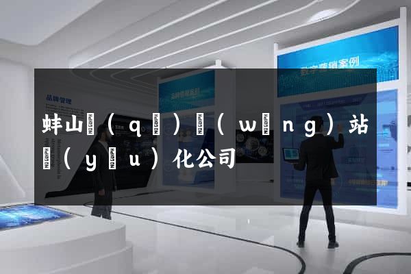 蚌山區(qū)網(wǎng)站優(yōu)化公司