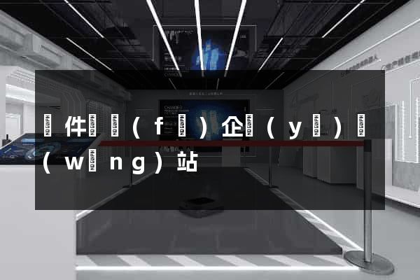 軟件開發(fā)企業(yè)網(wǎng)站