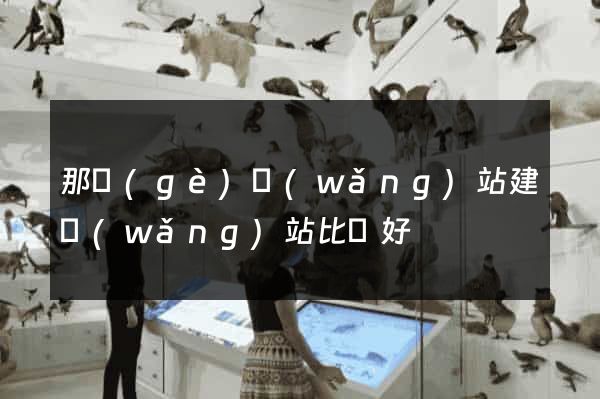 那個(gè)網(wǎng)站建網(wǎng)站比較好