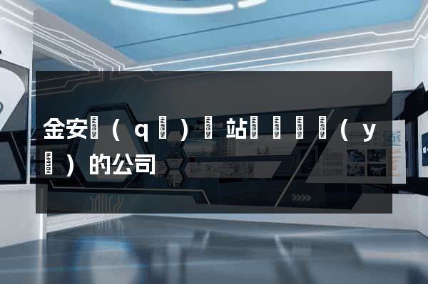 金安區(qū)網站設計專業(yè)的公司