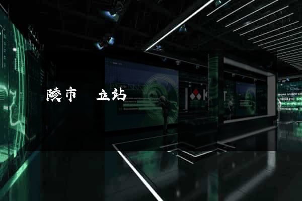 銅陵市獨立站運營