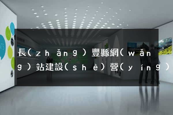 長(zhǎng)豐縣網(wǎng)站建設(shè)營(yíng)銷型