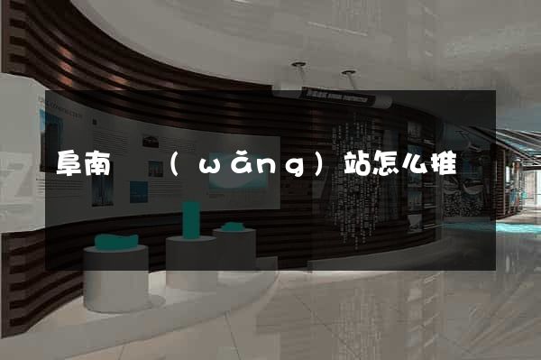 阜南縣網(wǎng)站怎么推廣