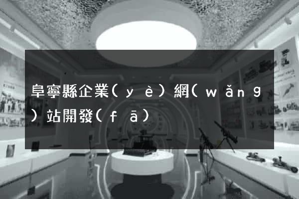阜寧縣企業(yè)網(wǎng)站開發(fā)