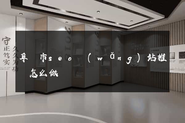 阜陽市seo網(wǎng)站推廣怎么做