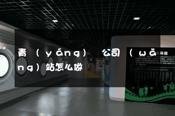 青陽(yáng)縣公司網(wǎng)站怎么做