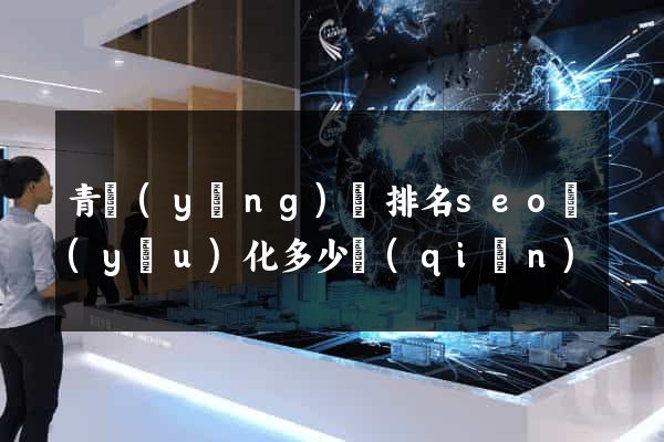 青陽(yáng)縣排名seo優(yōu)化多少錢(qián)