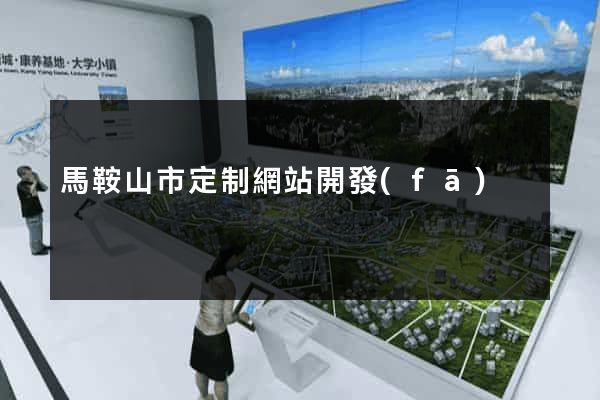 馬鞍山市定制網站開發(fā)