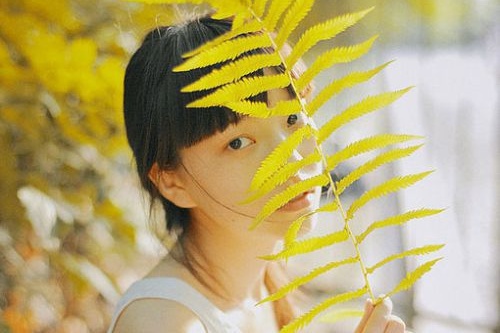 ?？诰W(wǎng)站建設模板網(wǎng)絡公司