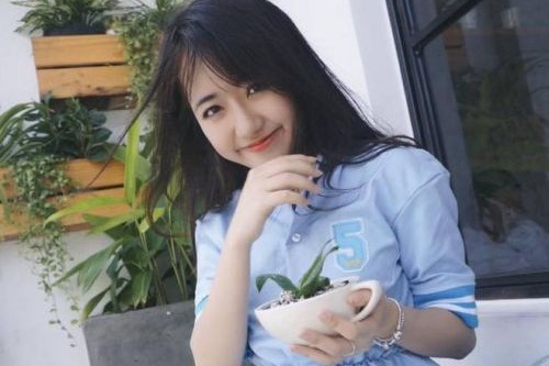 哪里可以學做網站